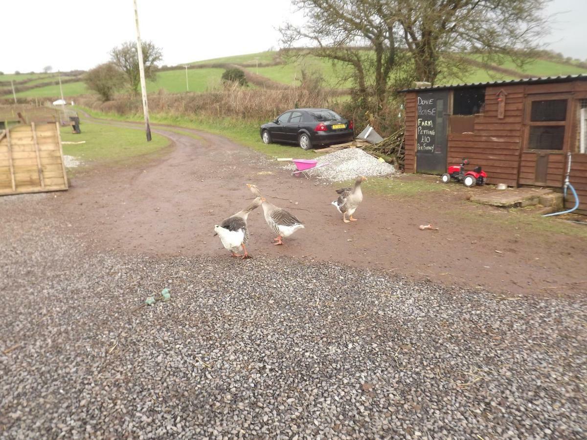 Marsh Water Ponds Fishery Villa Kidwelly ภายนอก รูปภาพ