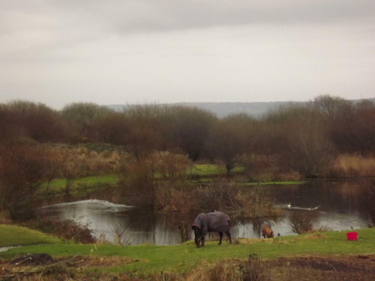 Marsh Water Ponds Fishery Villa Kidwelly ภายนอก รูปภาพ