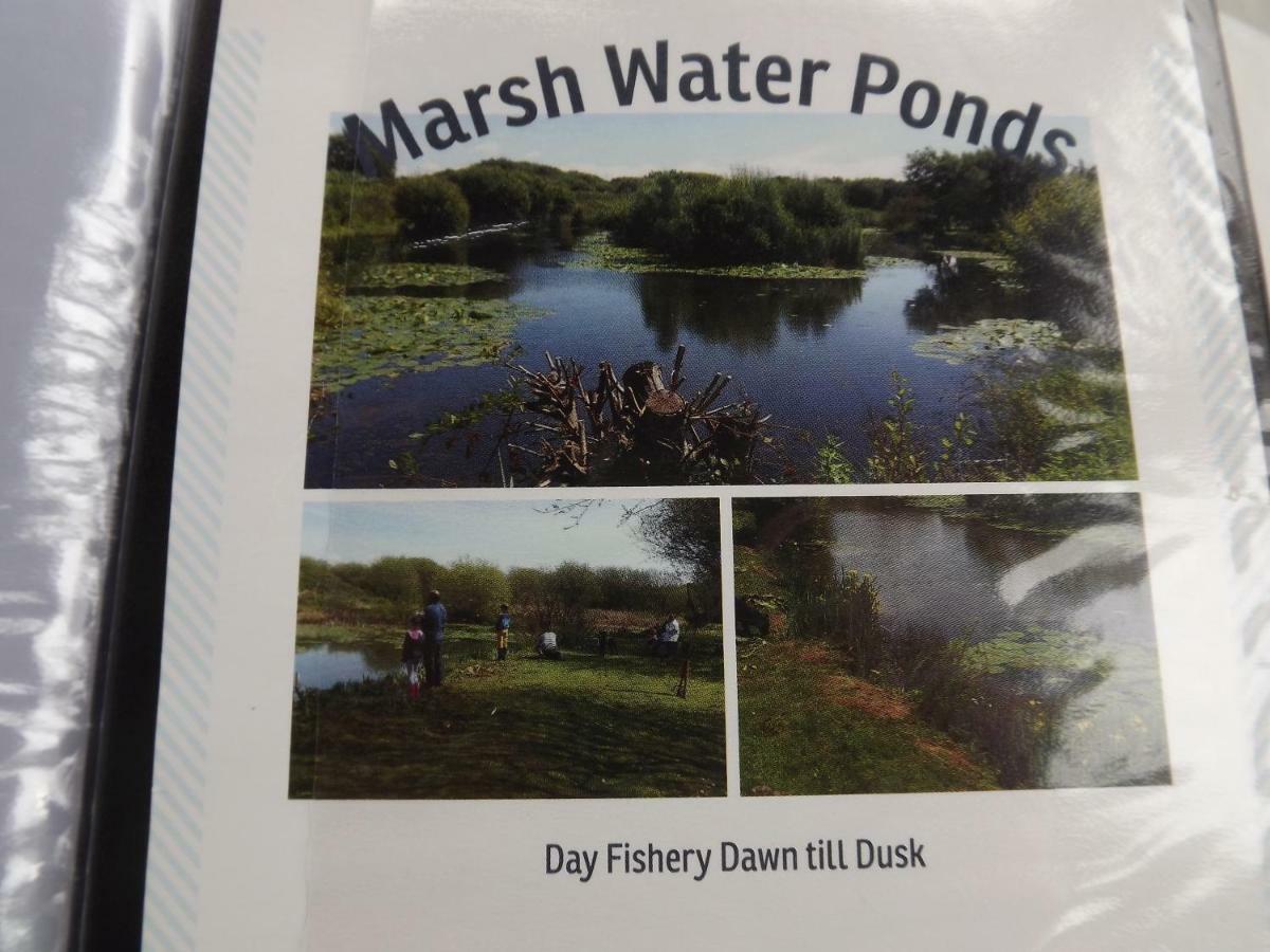 Marsh Water Ponds Fishery Villa Kidwelly ภายนอก รูปภาพ